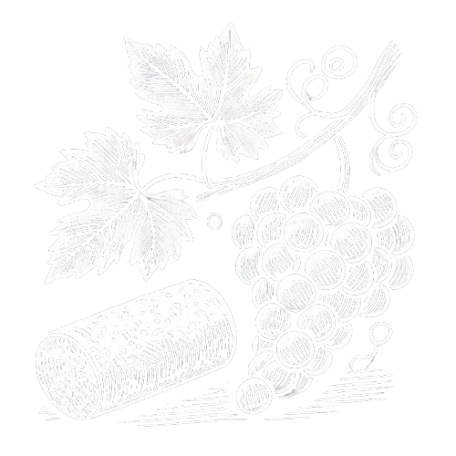 Vinkork och vindruvor.